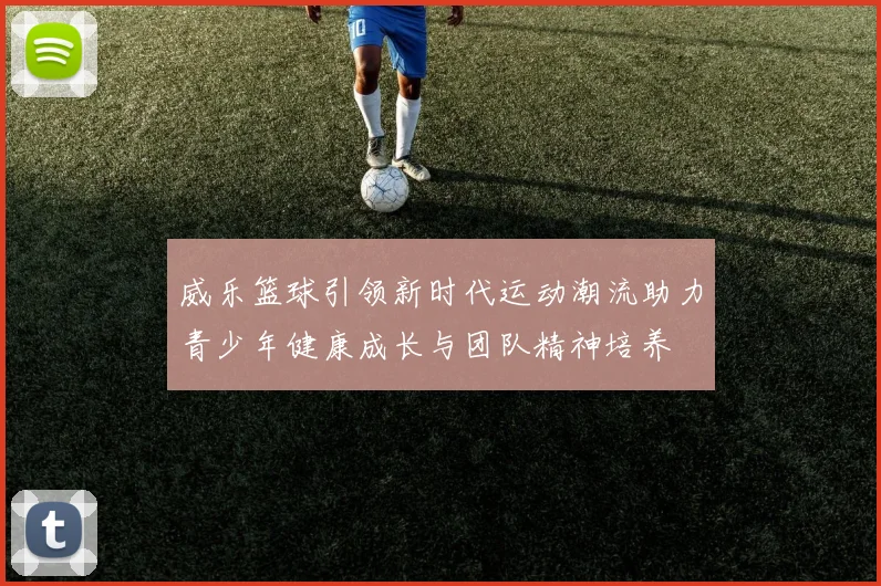 威乐篮球引领新时代运动潮流助力青少年健康成长与团队精神培养