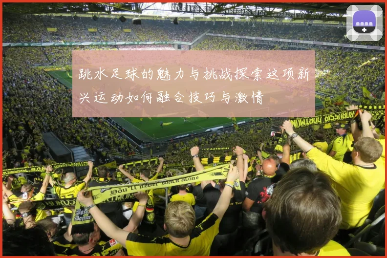 跳水足球的魅力与挑战探索这项新兴运动如何融合技巧与激情