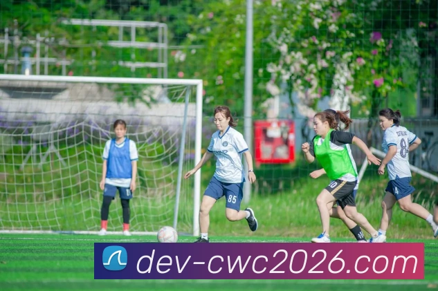 多媒体互动体验